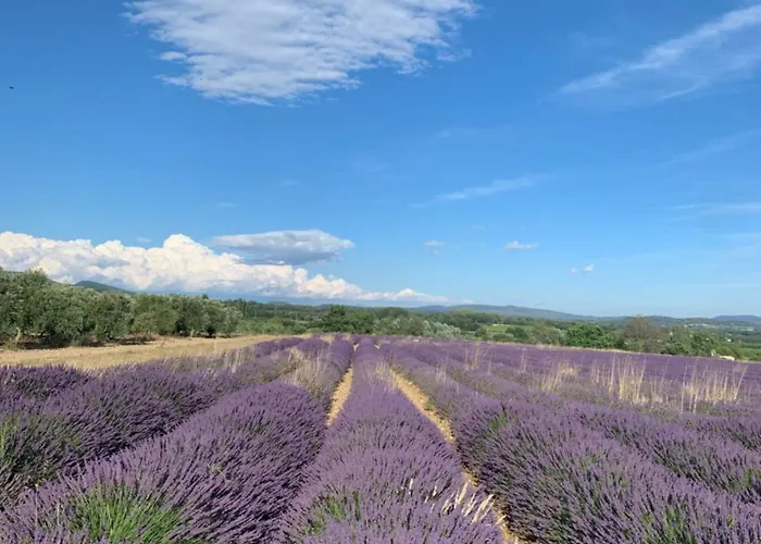 1 Avec Piscine Appartamento Gréoux-les-Bains